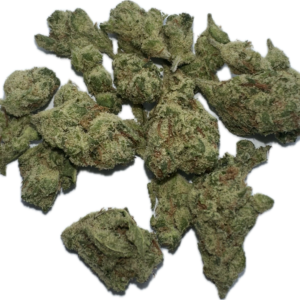Lilac Diesel smalls flower Trenton NJ