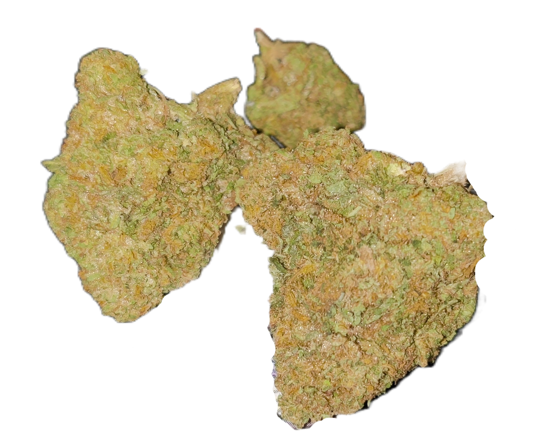 G41 3.5g flower Trenton NJ