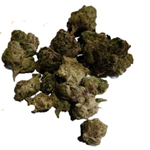 GB Daytona 3.5g flower Trenton NJ