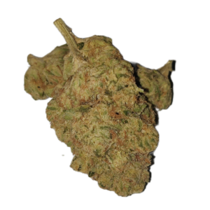 Ghost Train Haze flower Trenton NJ